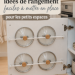 Un salon bien organisé avec des solutions de rangement adaptées