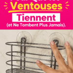 Une ventouse fixée solidement sur une surface lisse, illustrant une astuce pratique.