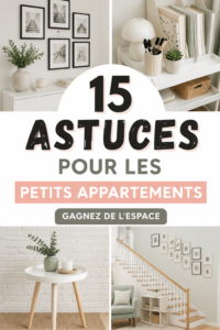 Aperçu d'un petit appartement bien agencé avec des meubles multifonctions.