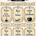 Échantillon d'étiquettes Halloween à imprimer, décorées de motifs de citrouilles et de fantômes.