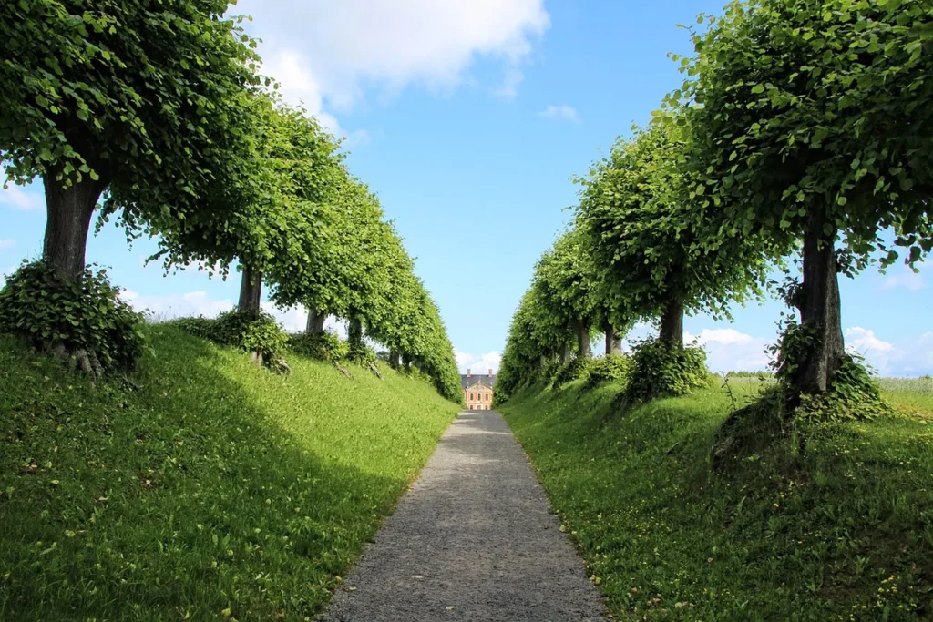 Domaine de Brunvay : allée plantée et massif contemporain